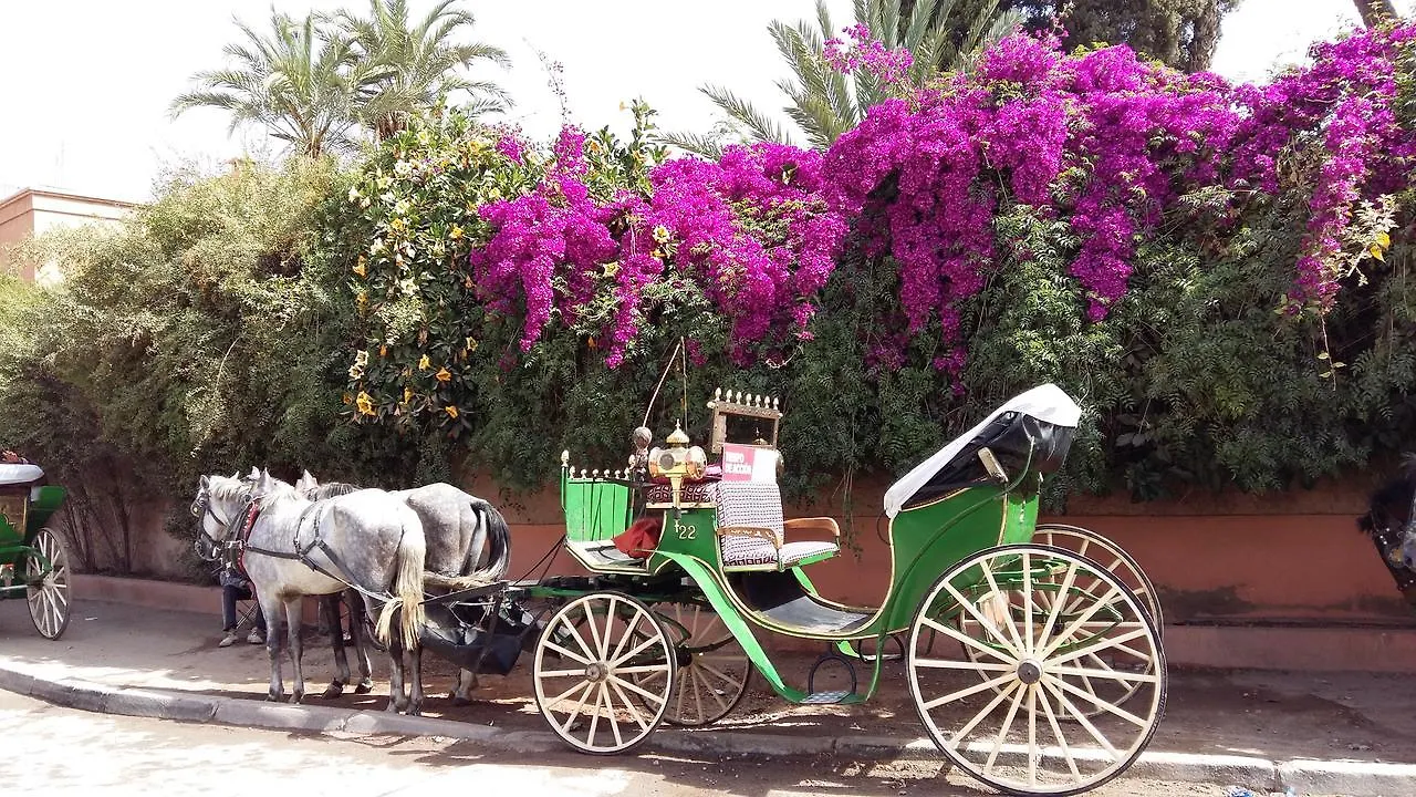 Mirador De Majorelle, The Apartment Is Only For Families Marrakesh